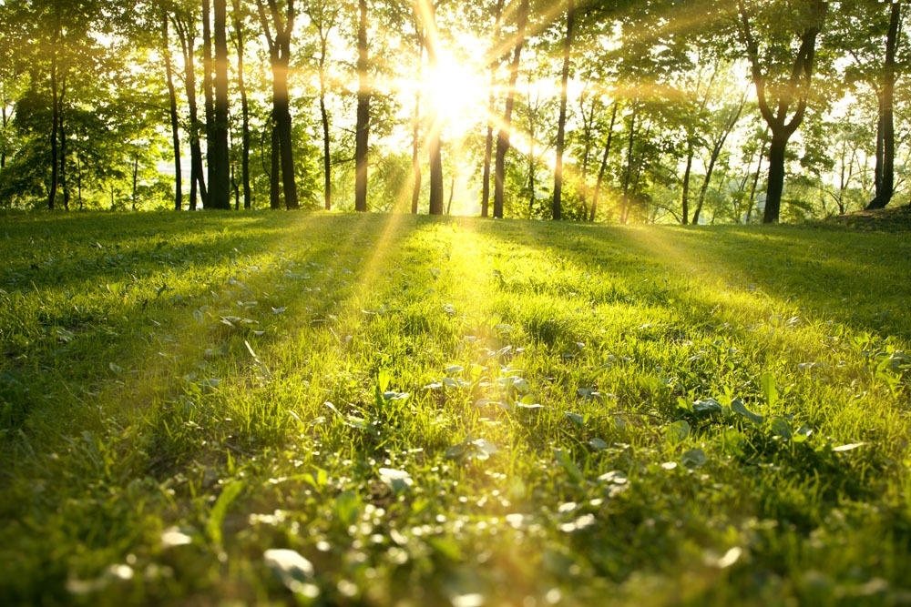 Intermezzo nella Natura (musica di Pietro Mascagni, Cavalleria Rusticana)